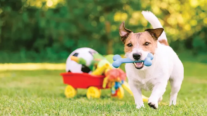 rsA-4pX2-iVuLgLHMSe-eA